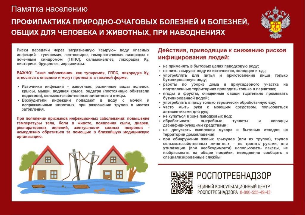 Геморрагическая лихорадка с почечным синдромом (ГЛПС).