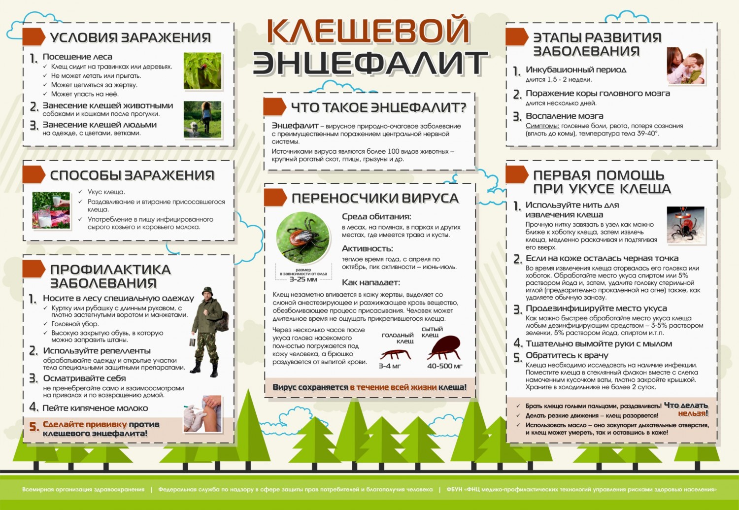 КЛЕЩЕВОЙ ЭНЦЕФАЛИТ.