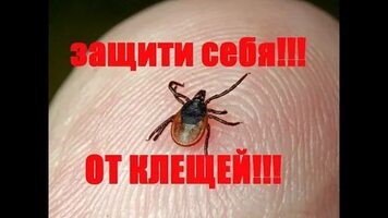 Клещевой энцефалит.