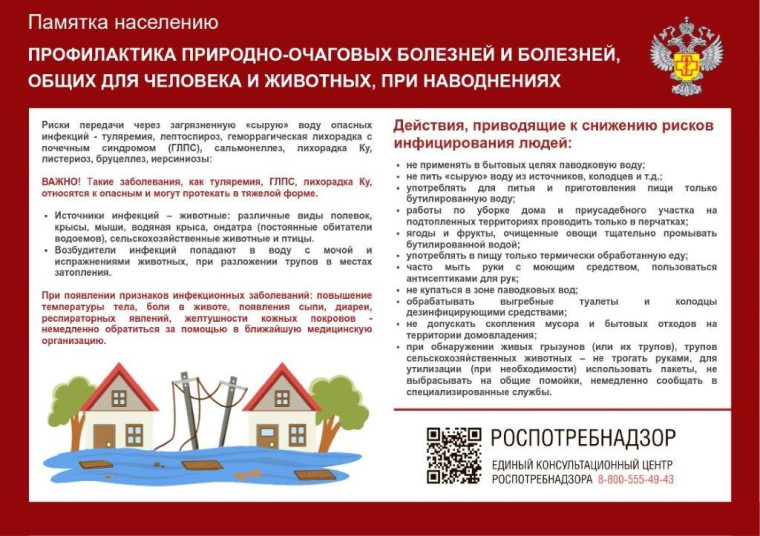 Геморрагическая лихорадка с почечным синдромом (ГЛПС). Геморрагическая лихорадка с почечным синдромом (ГЛПС).